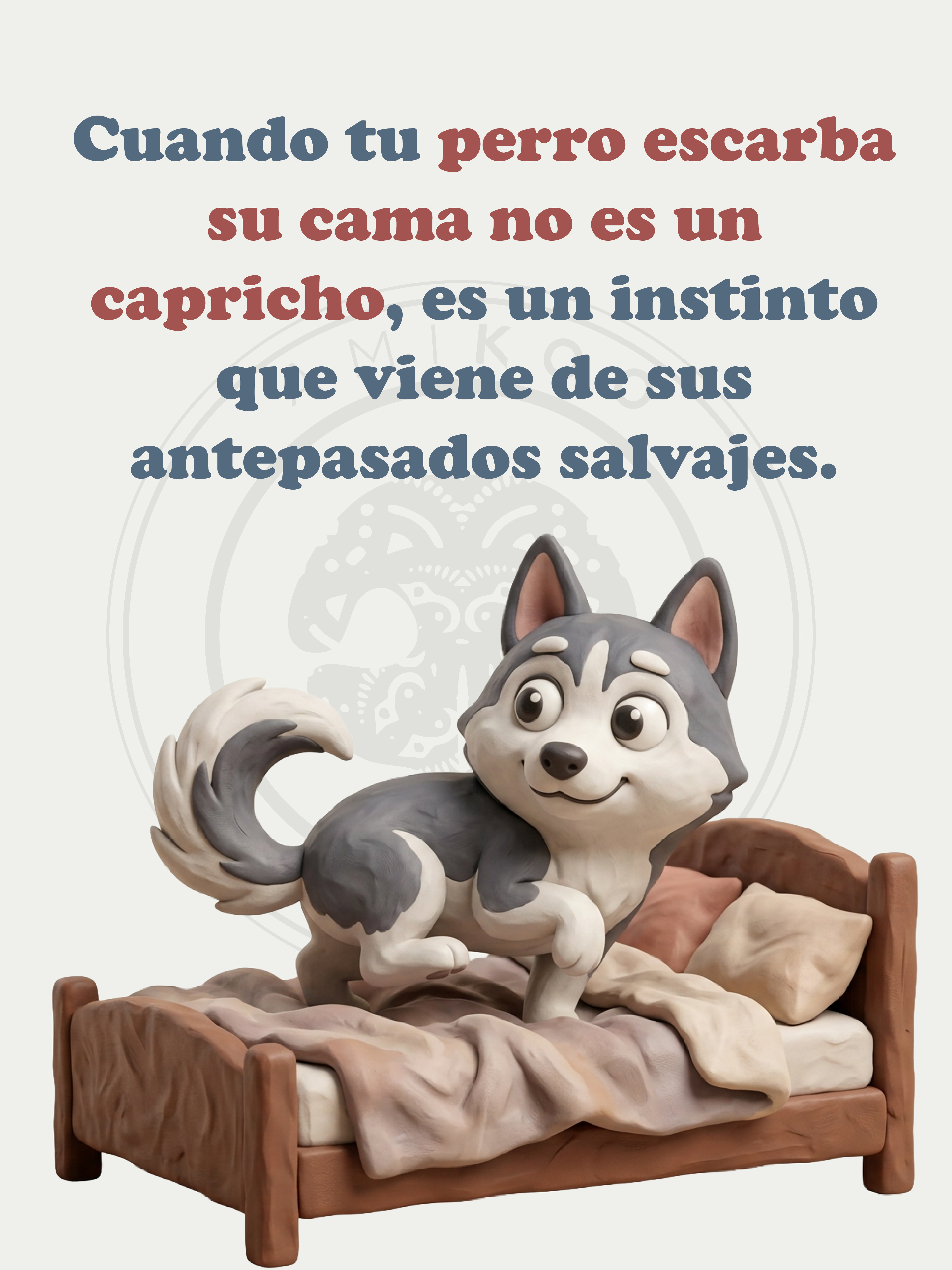 Amikoo — contenido redes: por qué rasca su cama