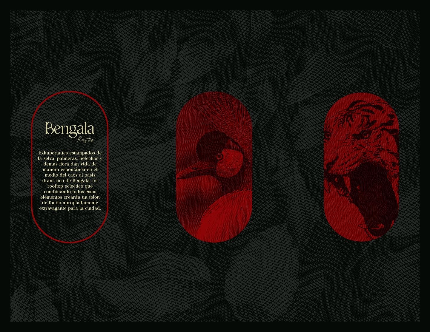 Bengala — detalle