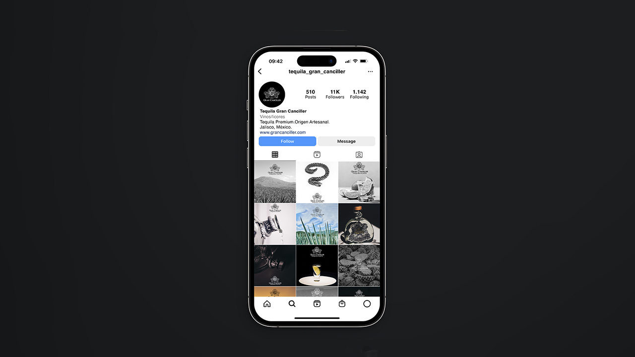 Gran Canciller — perfil Instagram