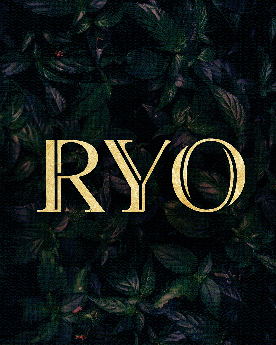 Ryo — reels y contenido en movimiento