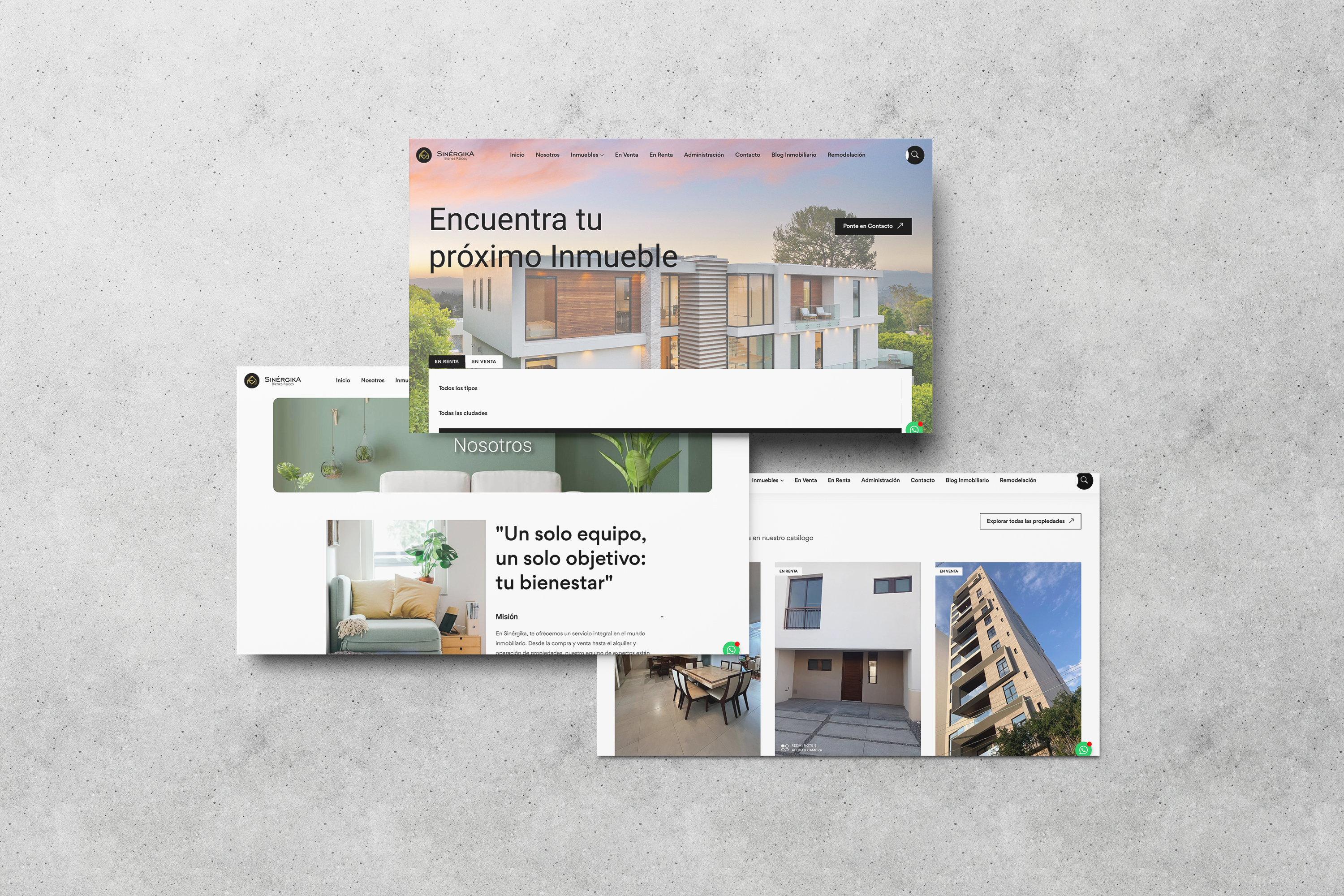 Sinergika — diseño web